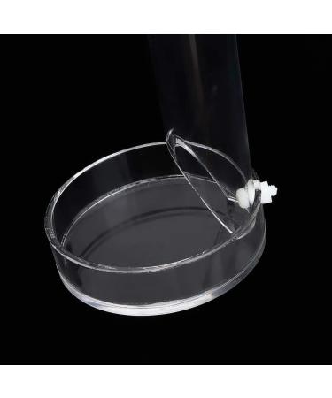 Fish Shrimp Feeder Tube and Plate Acrylic Clear Shrimp Feeding Tube Aquarium Fish Tank Feeder for Crystal Shrimp Tropical Fish(20cm) - Buy Online on SooperMarket.com