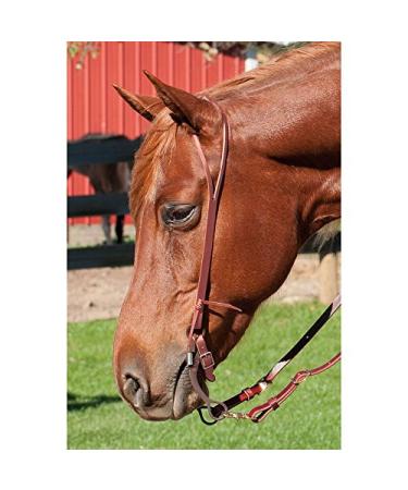 Latigo Leather Split Ear Headstall - Premium Quality for Superior Performance - Buy Online on SooperMarket.com