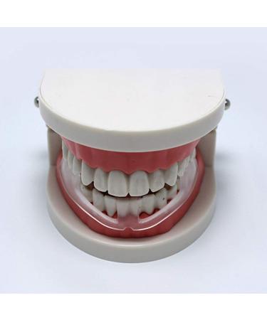 EXCEART Sleeping Tooth Guard - Ready-to-Use Children's Dental Guard for Upper or Lower Jaw - Pain Relief for Adults and Kids - Buy Online on SooperMarket.com