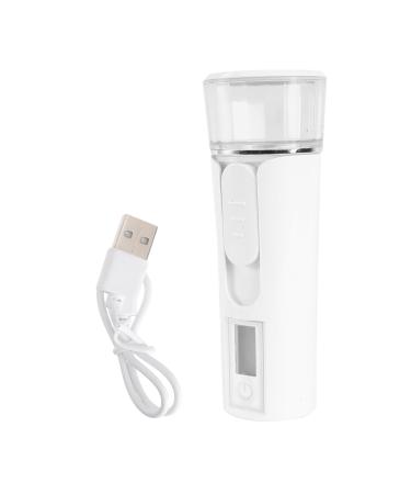 Baluue 1pc Spray Hydrating Apparatus Face Handy Sprayer Hydrating Mister Mini USB Face Sprayer Portable Abs