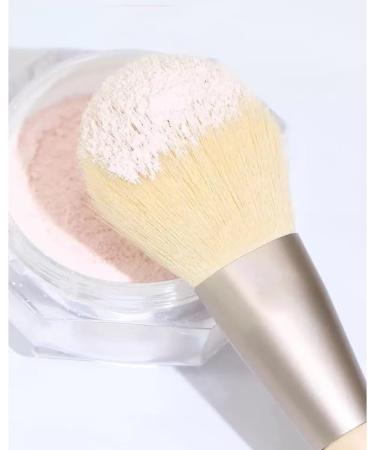 DFHBFG 12-Piece Makeup Brush Set | Soft Animal Hair Brushes for Eyes Powder Blush & Concealer | JoJo's Bizarre Adventure | International Shipping - Buy Online on SooperMarket.com
