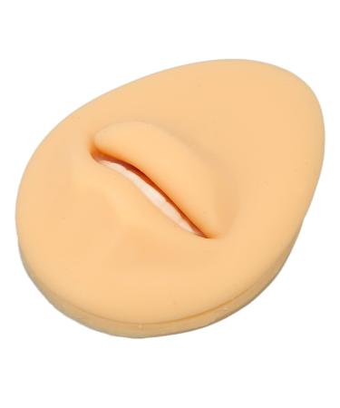 Artificial Mouth Model Soft Silicone Mouth Model Flexible Simulation Human Mouth for Body Part Display Teaching Tool Personal Care