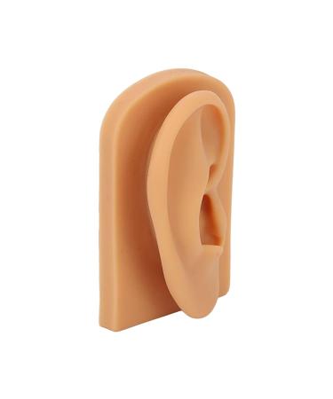 Silicone Right Acupuncture Ear Model - Waterproof Hearing Aid Display Accessory for Science Education - Buy Online on SooperMarket.com