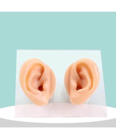 Ear Model A Pair - Professional Simulated Ear Template Imitation Soft Soft Silicone Soft Ear Display Products Actual Ear Mold Sample