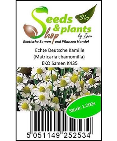 Pcs - 1200x Real German Chamomile Matricaria Chamomilla EKO Plants - Seeds K435 & Plants Shop by Ipsa - Buy Online on SooperMarket.com