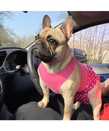 Glenndarcy Dog Diapers Without Tail Hole for French Bulldogs | Medium Unicorn Long Pants - Comfortable & Stylish - Buy Online on SooperMarket.com