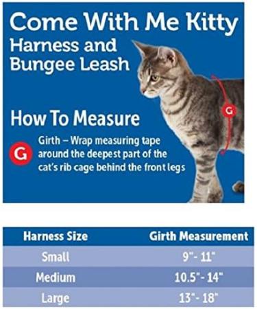 Buy PetSafe Come with Me Kitty Harness & Bungee Leash for Cats - Small Red/Cranberry | International Shipping Available - Buy Online on SooperMarket.com
