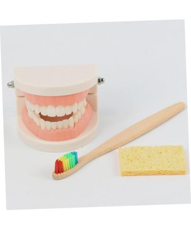 Shop Minkissy 3 Sets Early Education Tooth Toys for Toddlers - Montessori Standard Reusable Kids' Dental Learning Toys - Buy Online on SooperMarket.com