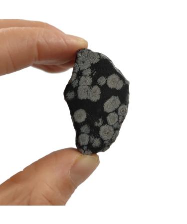 1pc 20-30mm Natural Snowflake Obsidian Raw Stone Rough Quartz Crystal Gemstone Mineral Specimen Home Decoration 2-3cm 1pc Random Snowflake Obsidian