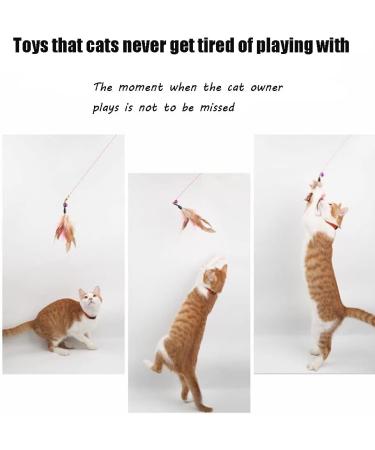 AWAVM 5 PCS Cat Teasers Cat Feather Wand Cat Toy Interactive Toy Feather Wand with Bell Natural Feather Refills - Buy Online on SooperMarket.com