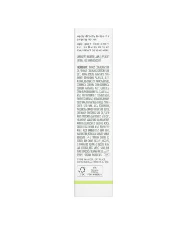 W3LL PEOPLE Optimist Lipstick | Plant-Based Cruelty-Free Clean Beauty (Choose Love) - 0.12 oz | 3.5 g - Buy Online on SooperMarket.com