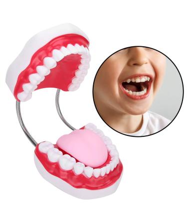 Portable Dental Model for Kids - Lifelike Teeth Brushing Demonstration & Educational Teaching Material - Buy Online on SooperMarket.com