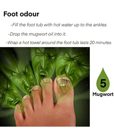 Mugwort Essential Oil 100% Pure-Undiluted Therapeutic Grade Great for Aromatherapy Foot Bath Moxibustion Guasha 15ml(0.49oz) - Buy Online on SooperMarket.com