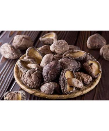 WATSON Premium Mushroom (Dried) | Dried Shiitake Mushroom | Dried Mushrooms | 227g / 8oz | Dried mushrooms for cooking | Vacuum-Locked Nutrients | Mushroom Soup Making | Dried Chinese mushroom | Selected Mushroom | - Buy Online on SooperMarket.com