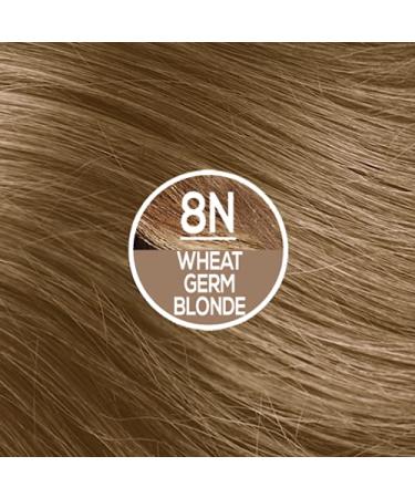 Naturtint 8N Wheat Germ Blonde Hair Color - Pack of 6 | Ammonia Free, Vegan & Cruelty Free | Up to 100% Gray Coverage | Long Lasting Results - Buy Online on SooperMarket.com