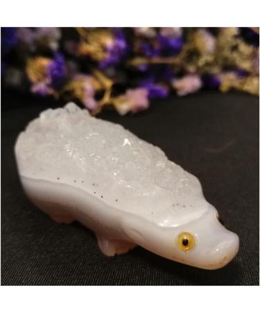 Natural Amethyst Hand Carved Gemstones Animals Cluster geode Quartz Crystals Hedgehog Minerals Home Decor Gift Home Collections (Color : Amethyst Size : 140g) 140g Amethyst - Buy Online on SooperMarket.com