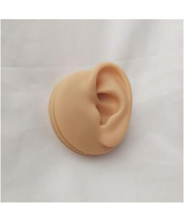 Silicone Ear Model - Human Ear Model Simulation - for Human Body Piercing Acupuncture and Moxibustion Ear Practice Ear Teaching - Buy Online on SooperMarket.com