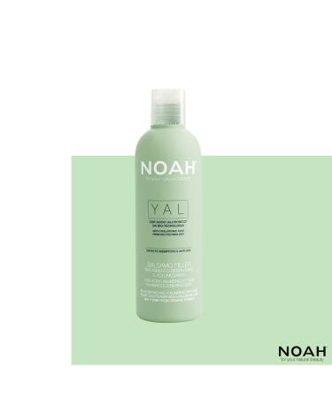 NOAH Yal Thyme + Hyaluronic Acid Shampoo and Conditioner Set - 8.5 fl.oz (250 ml) - Cruelty Free, Vegan, Anti-aging, Detangling, Fortifying and Moisturizing - Buy Online on SooperMarket.com
