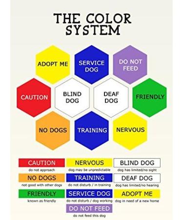 ASSISTANCE DOG Colour Coded Non-Pull Front and Back D Ring Padded and Waterproof Vest Dog Harness PREVENTS Accidents By Warning Others Of Your Dog In Advance (L) Large Harness - Buy Online on SooperMarket.com