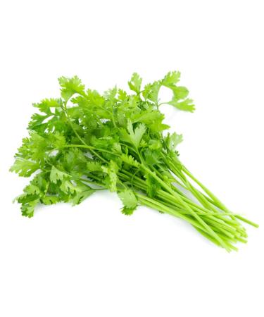 Coriander 10 bunch