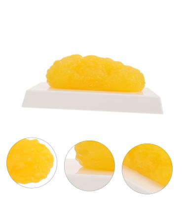 Gatuida Anatomical Fat 4pcs Fat Model Models Human Body Fat Plastic Body Fat Human Fat 1 Pound Demonstration Device Module - Buy Online on SooperMarket.com