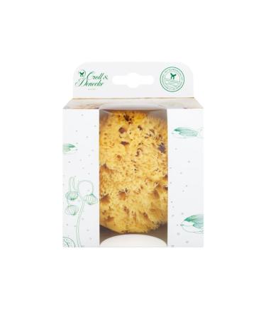 Natural sponge size L 12-13cm