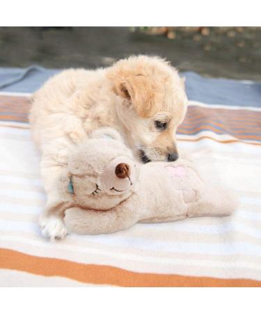 Pet Prime Snuggle Bear - Heartbeat Plush Toy for Cats and Dogs - Comfort Toy in Beige - Buy Online on SooperMarket.com
