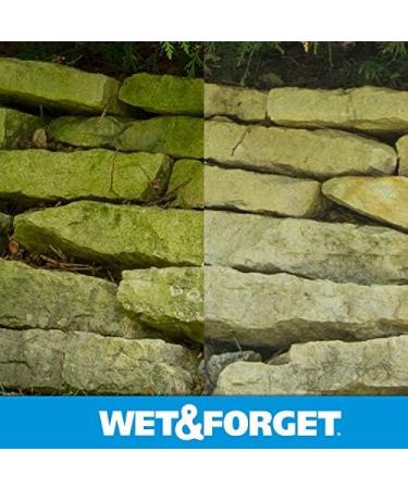 Buy Wet & Forget Moss & Mold Remover - Multi-Surface Outdoor Cleaner Concentrate (64 oz 2 Pack) - Effective Algae Stain Solution | Fast International Shipping - Buy Online on SooperMarket.com