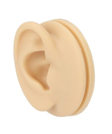 Human Right Ear Model Human Ear Model Clear Internal External Structure Soft Silicone Waterproof for Ear Learning for Suppliers