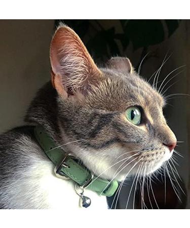 Animal Outfitters UK Purrfect Pastel Collection Cat Collar | Mint Silver Bell | Adjustable Breakaway Kitten Collar - Buy Online on SooperMarket.com