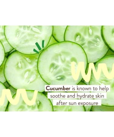 Babo Botanicals After Sun Soothing Mist - Organic Aloe Vera & Cucumber - For Face, Body, Sensitive Skin - EWG Verified - Alcohol-Free - 8 oz - Buy Online on SooperMarket.com