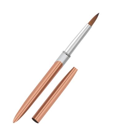 Healeved Metal Rod Nail Art Pen Nail Art Liner Nail Art Pens Nail Art Brush Manicure Liner Brush Nail Brushes for Nail Art Nail Drawing Pens Striping Stripe Aluminum Manicure Tools 17.40X1.00X1.00CM As Shown