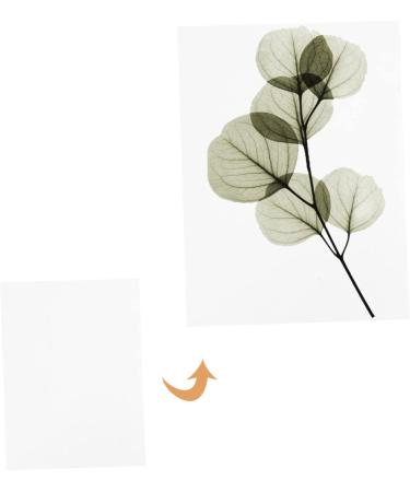 FRCOLOR Dried Flower Blotting Paper Set - Embossed Perforated Specimen Boards for Herbarium, White Flowers Paper - 4pcs 20x15cm - Buy Online on SooperMarket.com