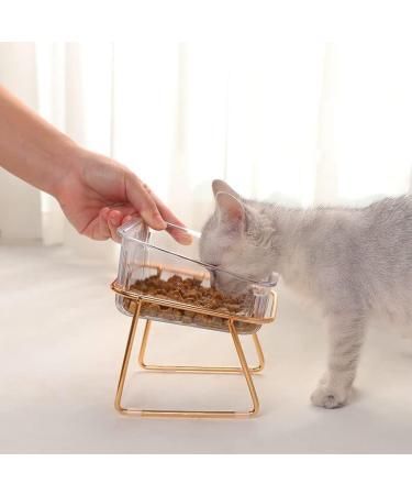 HOHXFYP Elevated Cat Bowls 15 Degree Tilt Stable Raised Cat Food Water Bowl Easily Removable Transparent Cat Bowls with Raised Bowl Bottom for Cats Dogs(S-Gold) Small Gold - Buy Online on SooperMarket.com