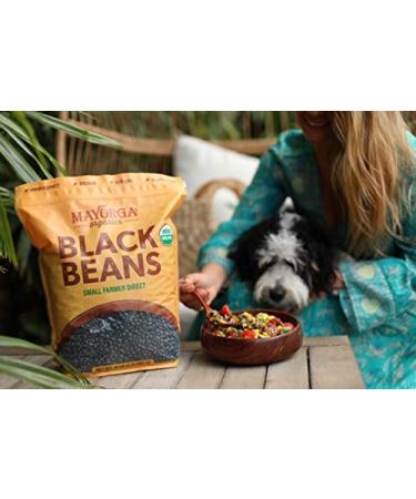 Mayorga Organic Dry Black Beans - USDA Certified, Non-GMO, Gluten-Free - 10 lb Resealable Bag | Direct Trade, Kosher - Frijoles Negros - Buy Online on SooperMarket.com