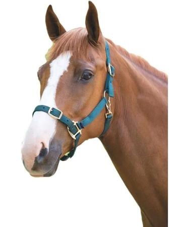 Shires Adjustable Pony/Horse Headcollar - Black Full Navy Full - Buy Online on SooperMarket.com