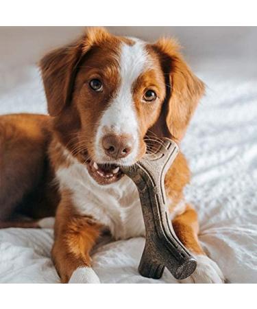 Benebone Maplestick/Bacon Stick Dog Chew Toy - Durable, Made in USA, Real Bacon Flavor (Medium) - Buy Online on SooperMarket.com