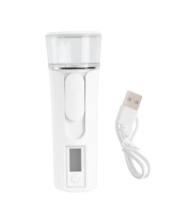 WOONEKY 1pc Spray Hydrating Apparatus Face Mist Face Handy Sprayer Face Humidifier Portable Plating