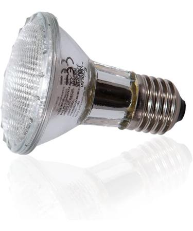 Buy Solar Raptor UV Halogen Spot 35W | Reptile Heat Lamp & Terrarium Light with Daylight Spectrum - International Shipping Available - Buy Online on SooperMarket.com
