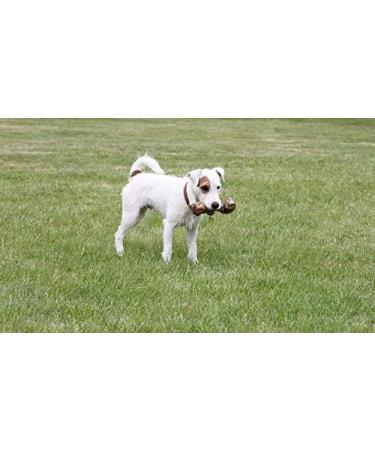 Favour Natural Large Ham Bone Chew Treat for Dogs - Buy Online on SooperMarket.com