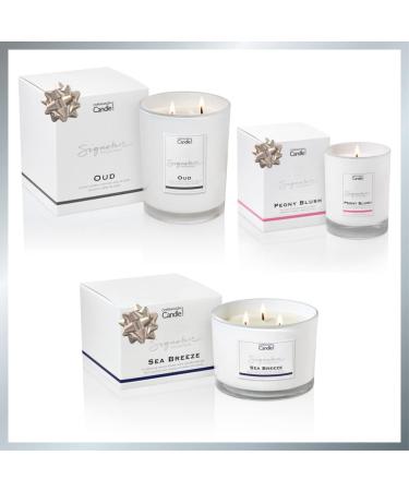 Luxury Scented Candle Gift Set - Sea Breeze | 45 Hours Burn Time | Natural Wax Blend | Hotel Collection by The Copenhagen Company - Buy Online on SooperMarket.com