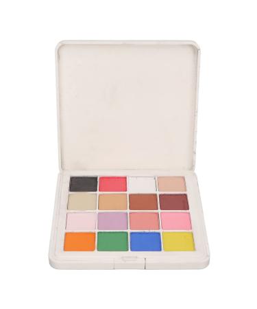 Solid Nail Glitter Powder Set for DIY 16 Colors Metallic Mirror Effect Nail Powder Shiny Nail Art Pigment Powder Flashing Nail Powder for Nail Art Decoration Salon Home Use