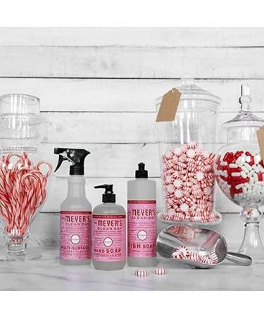 Peppermint Hand Soap 12.5 Fl Oz - Pack of 6 - Buy Online on SooperMarket.com