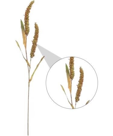 Ciieeo 3pcs Simulated Ears of Corn Artificial Wheat Ears Stalks Thanksgiving Decorations Wheat Home D cor Fall Decor Artificial Plants Simulation Wheat Ears Household Fake Grass Iron Greenx3pcs 12X75CMx3pcs - Buy Online on SooperMarket.com