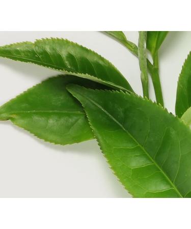 EAU VITALE Aromatherapy Mist - T Verde | Refreshing & Uplifting | Shop Internationally - Buy Online on SooperMarket.com