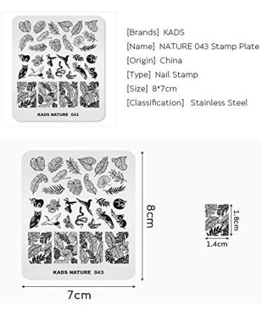 Alexnailart Stainless Steel Nail Stamping Template - Manicure Nail Art Decoration NA043 - Buy Online on SooperMarket.com
