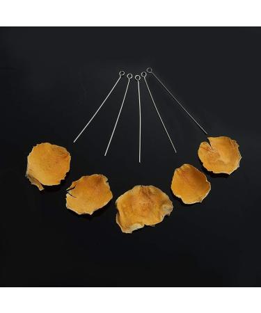 DanLingJewelry 304 Stainless Steel 24-Gauge Eye Pins for Jewelry Making - 50mm - Pack of 100 - Buy Online on SooperMarket.com