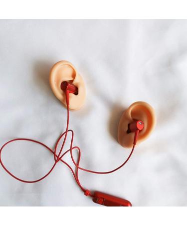 Soft Silicone Ear Model Artificial Human Ear for Acupuncture Ohr Picking Practice Practice Medical Teaching Display Props Left Right 1 Pair - Buy Online on SooperMarket.com