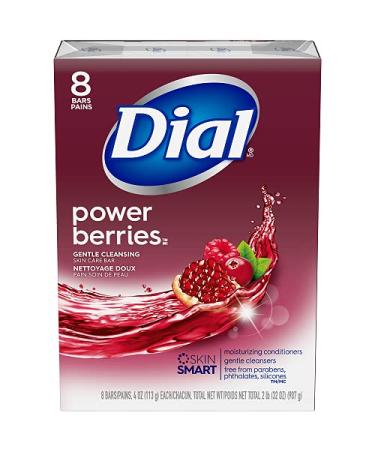 Dial Skin Care Bar Soap  Power Berries  4 Ounce  16 Bars