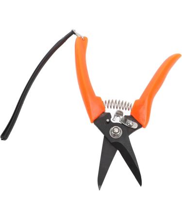 Buy High Carbon Stainless Steel Hoof Shears for Goats | Safe & Durable - International Shipping - Buy Online on SooperMarket.com